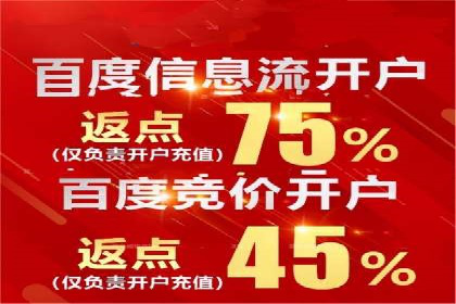 竞价广告与自然搜索的结合策略：XX网站的案例分析